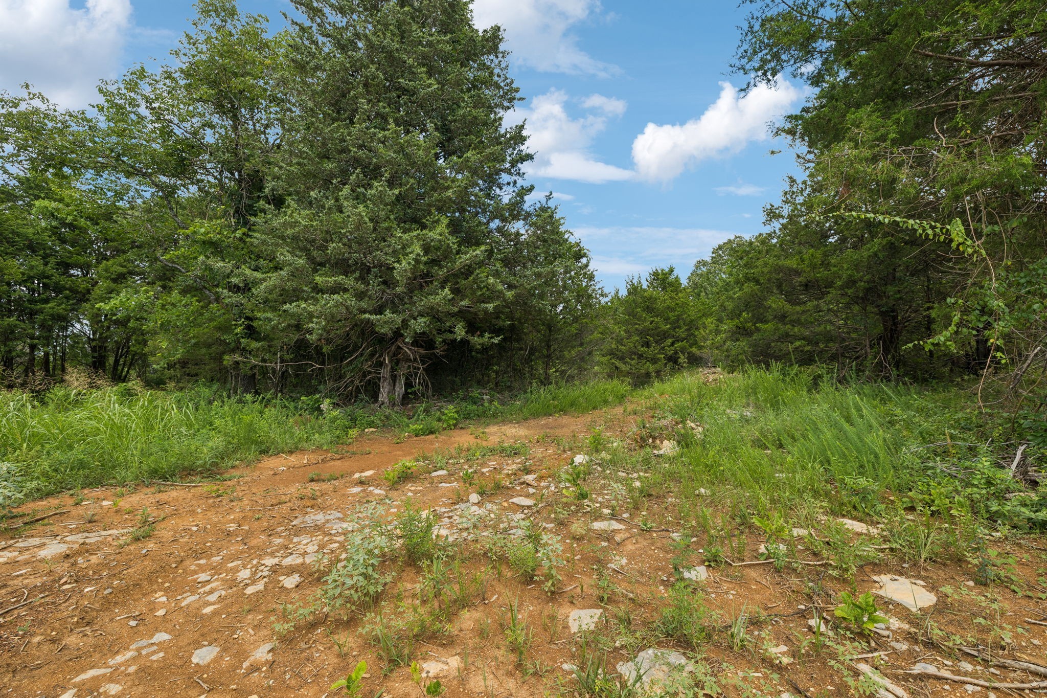 7665 Shelbyville Pike