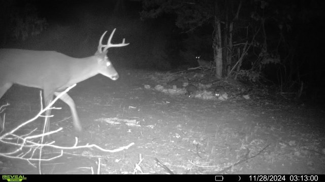 7665 Shelbyville Pike