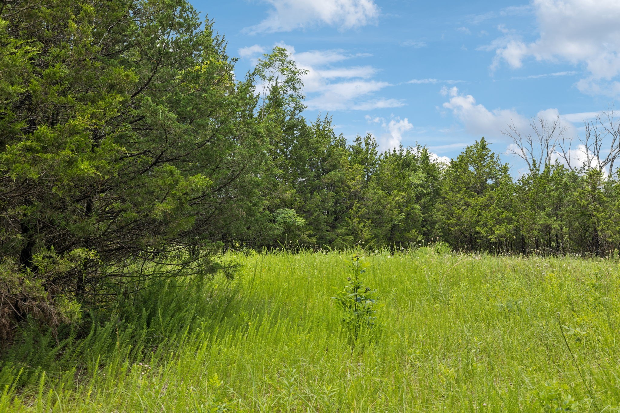 7665 Shelbyville Pike