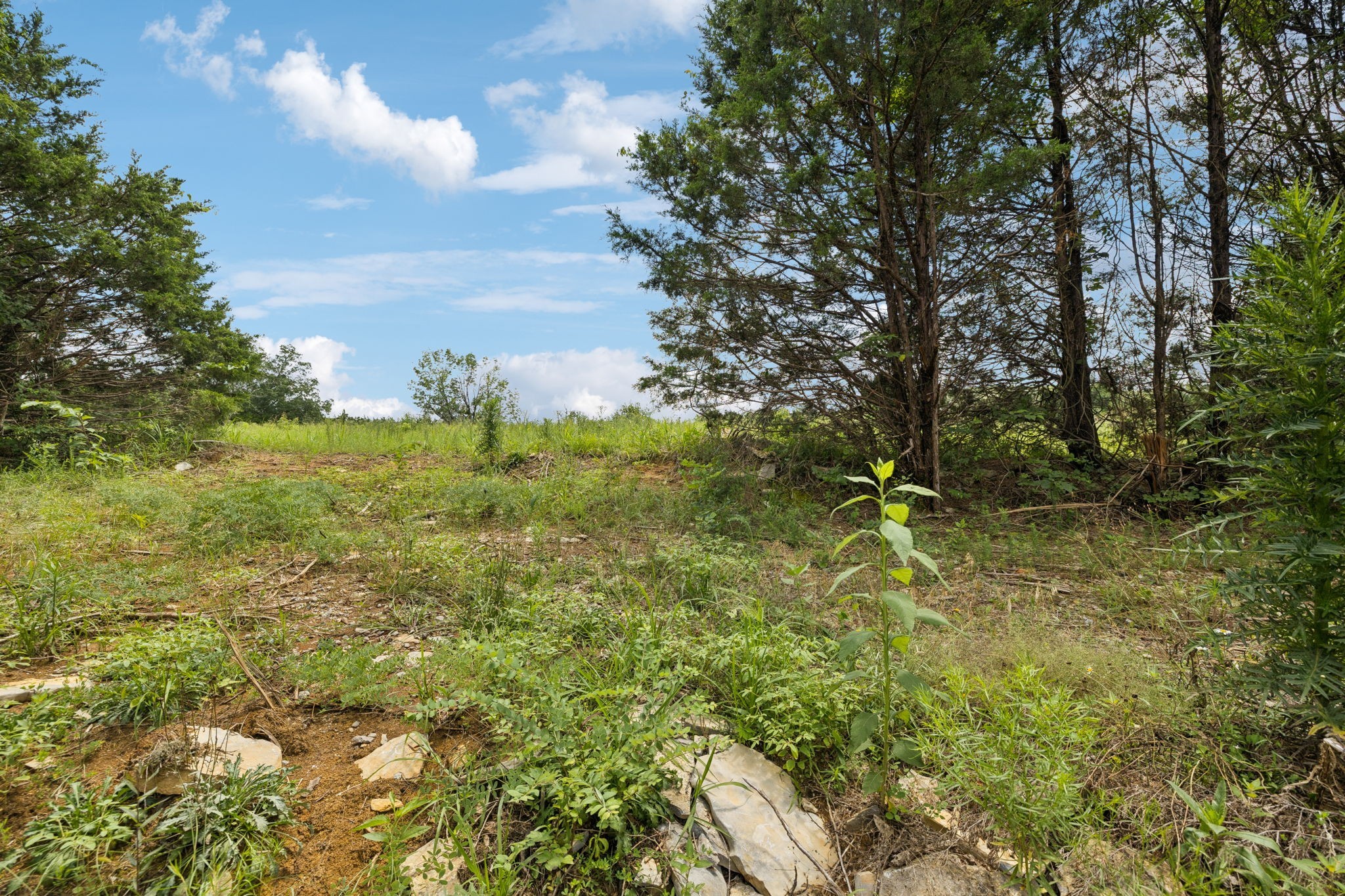 7665 Shelbyville Pike