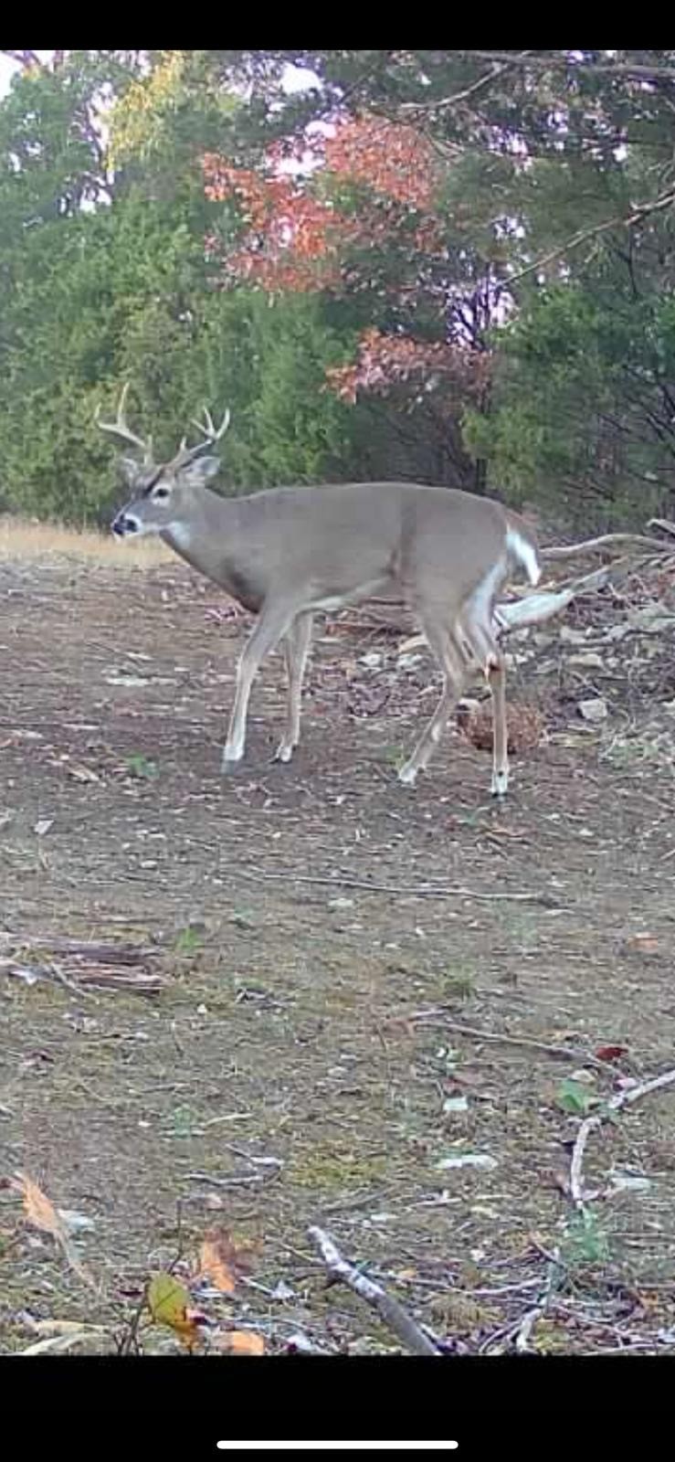 7665 Shelbyville Pike