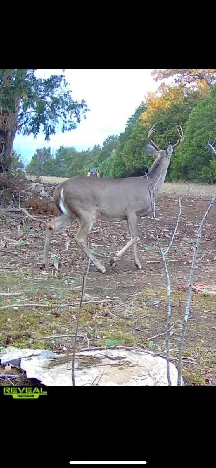 7665 Shelbyville Pike