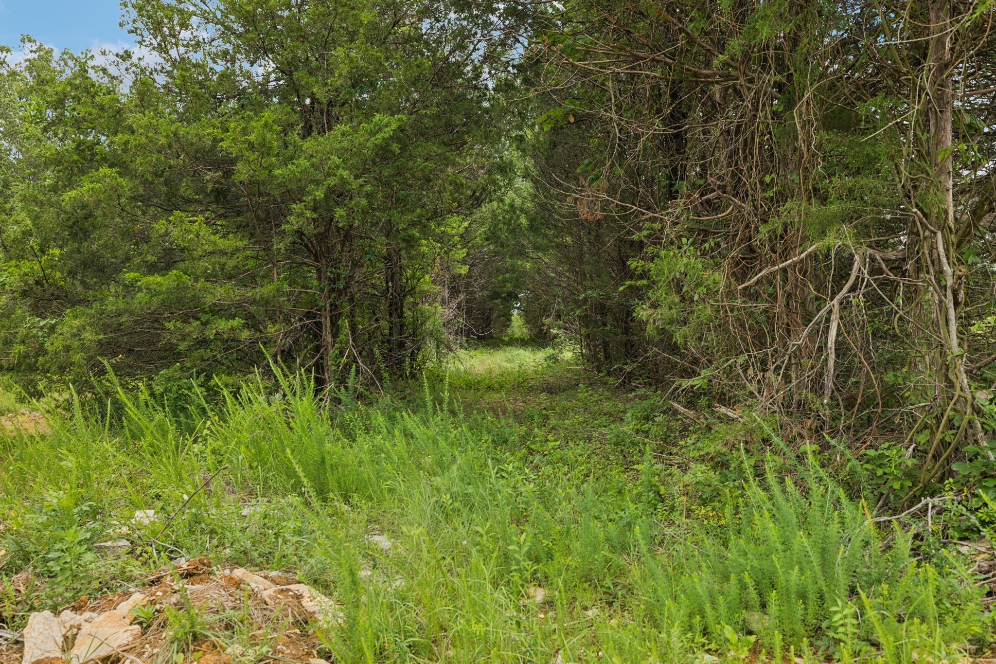 7665 Shelbyville Pike