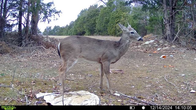 7665 Shelbyville Pike