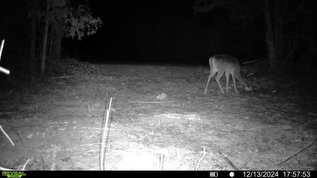 7665 Shelbyville Pike