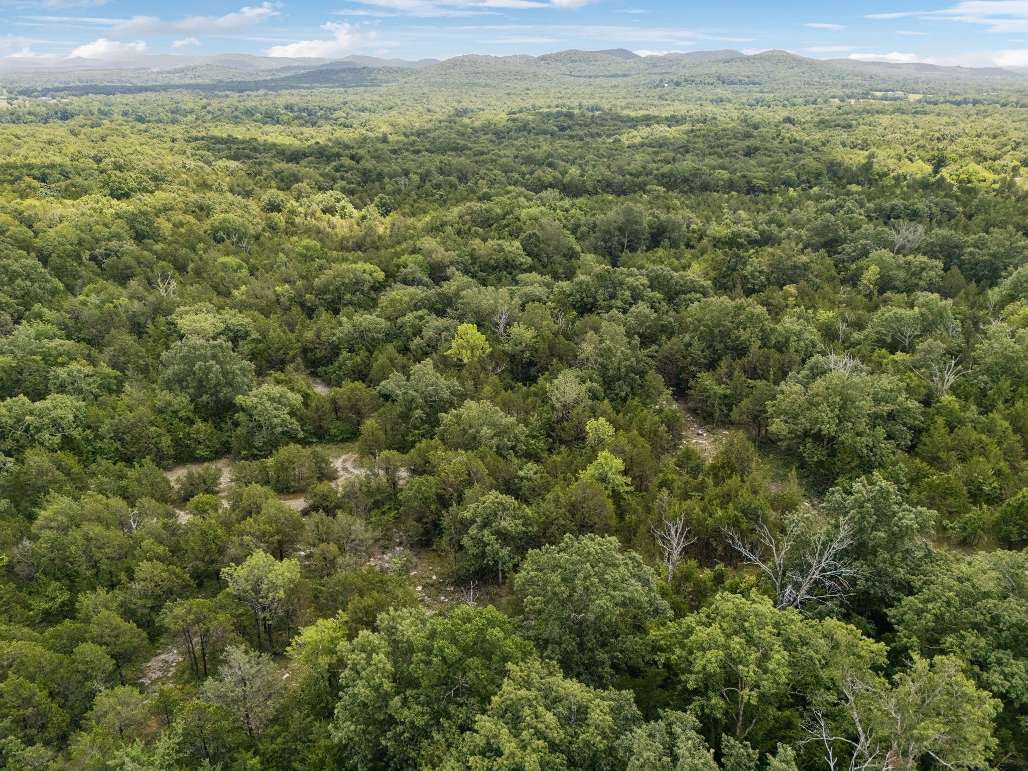 7665 Shelbyville Pike