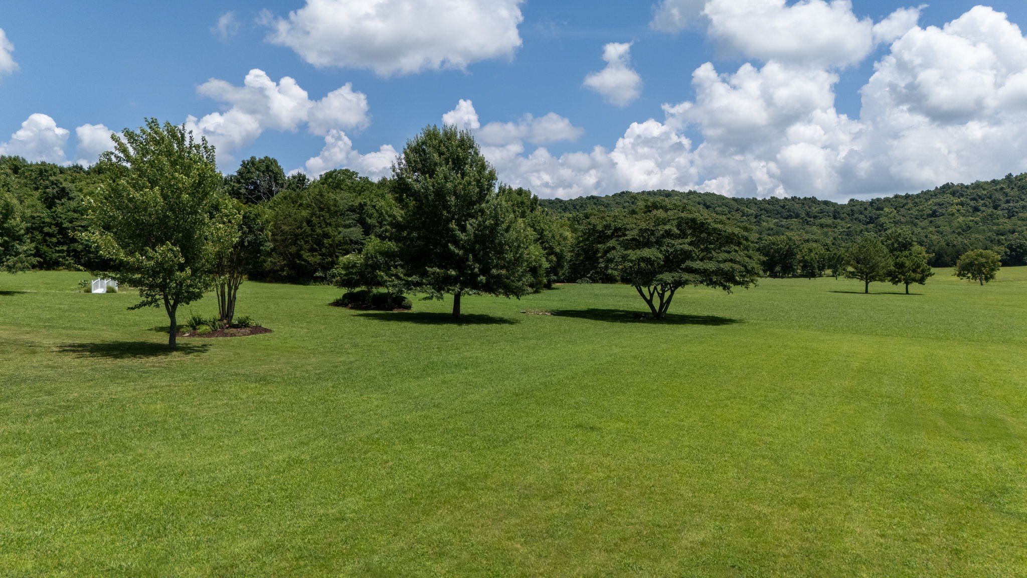 107 Forrest Ct