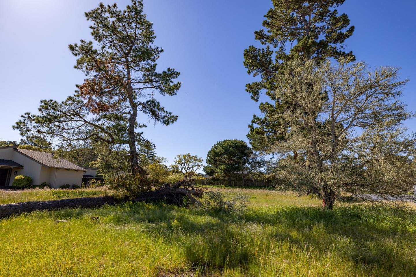 20 Alta Mesa Circle