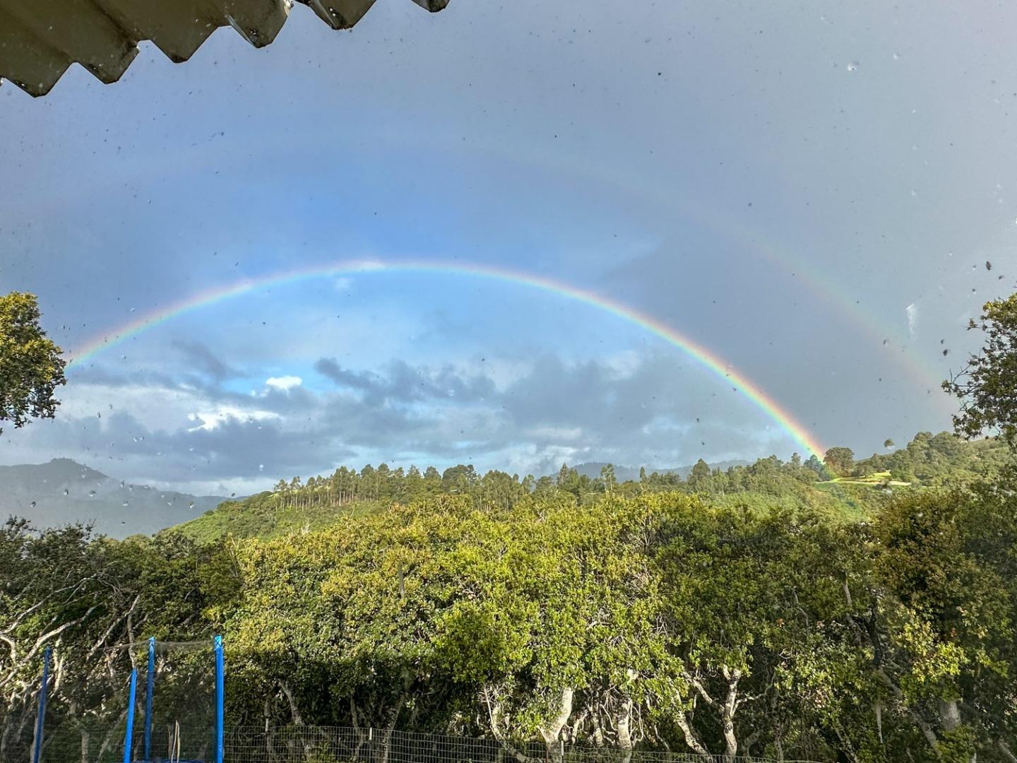 25800 Tierra Grande DR