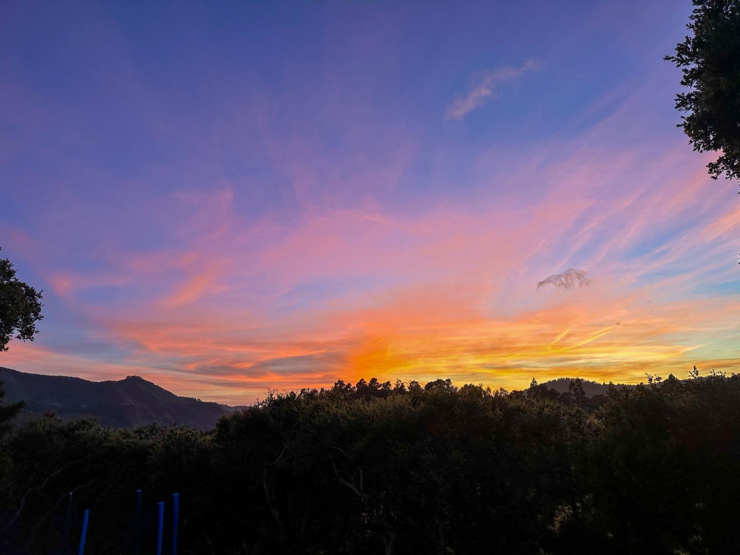 25800 Tierra Grande DR