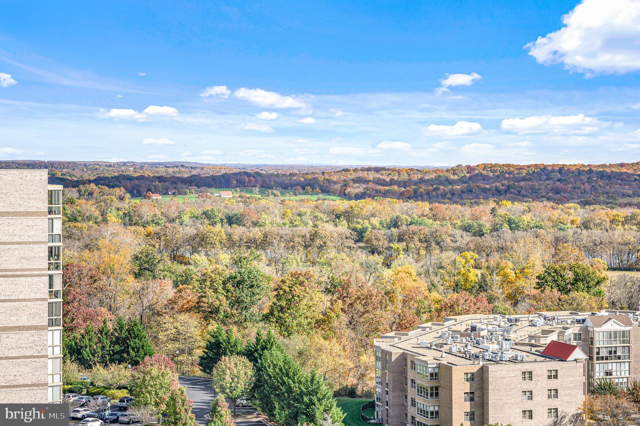19365 Cypress Ridge TERRACE Unit: 1108