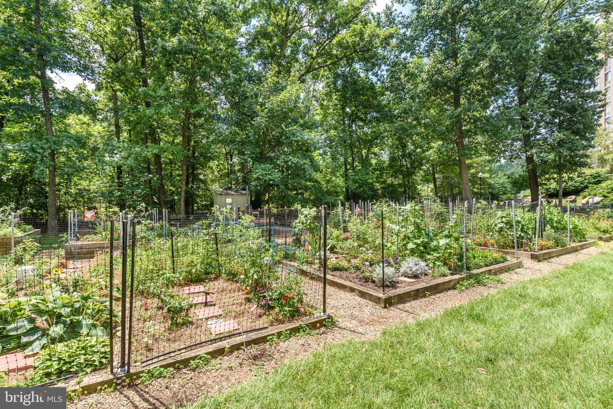 19385 Cypress Ridge TERRACE Unit: 401
