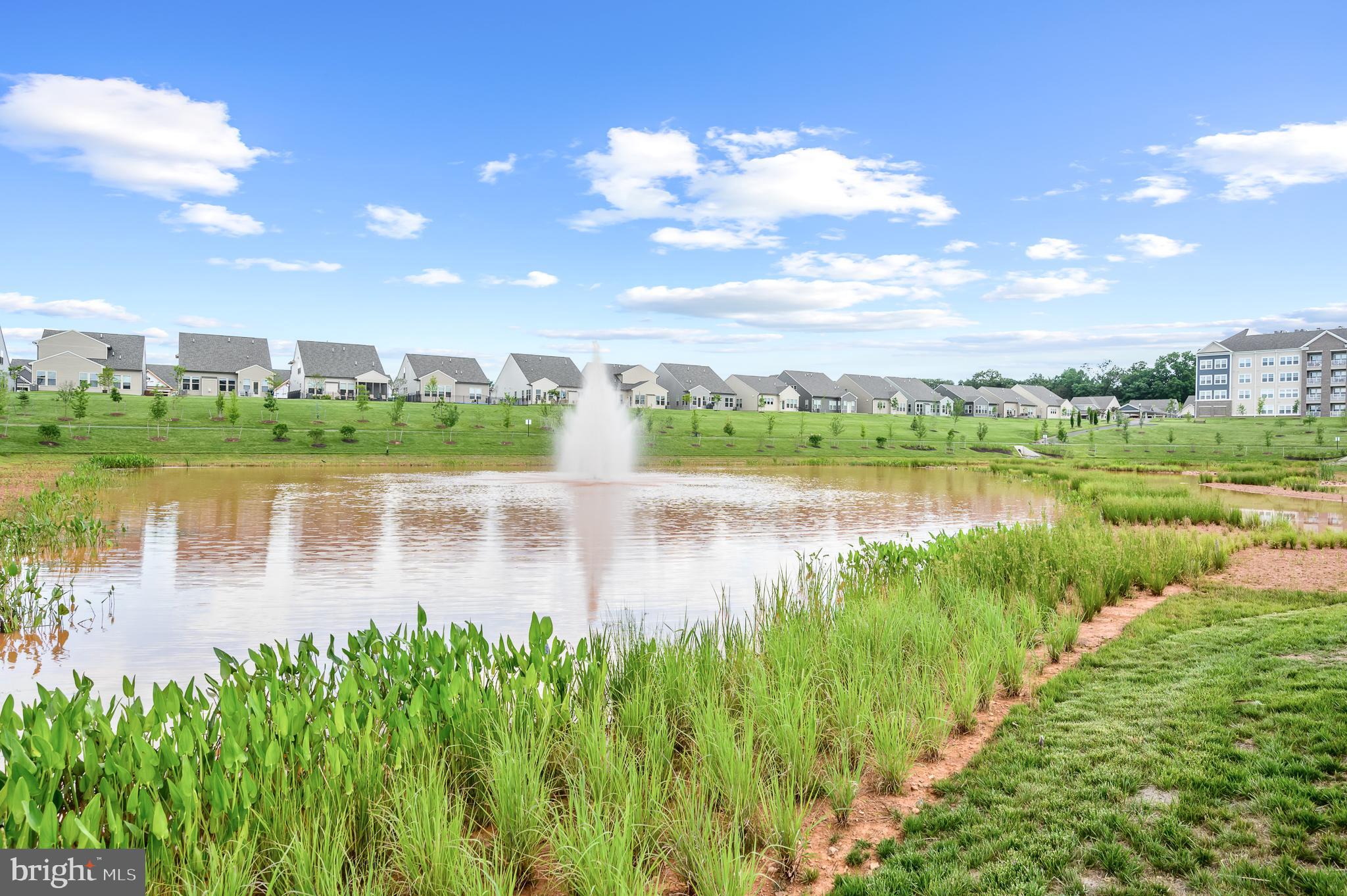 21894 Hawksbill High Cir #201