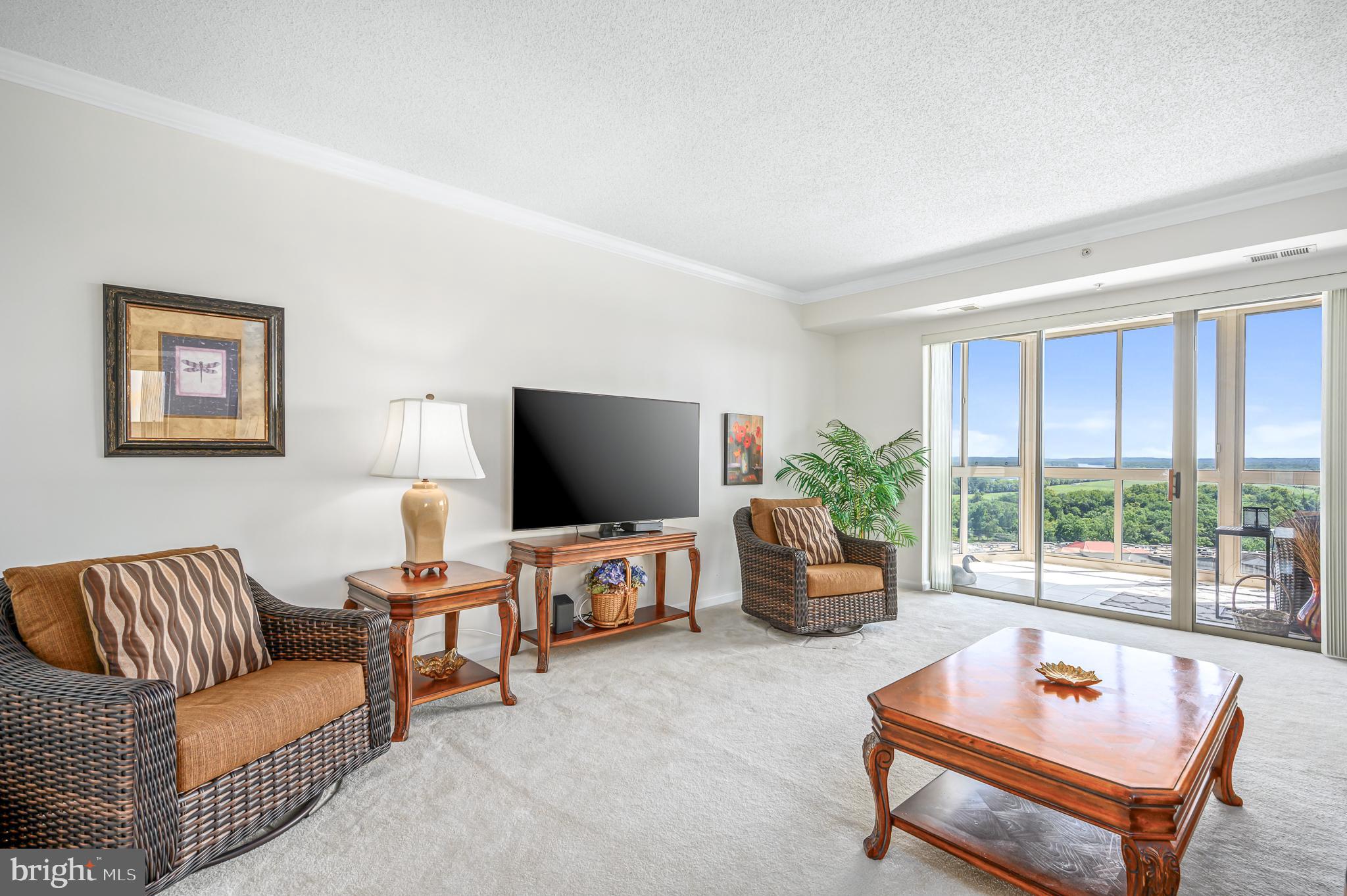 19355 CYPRESS RIDGE TER #1106