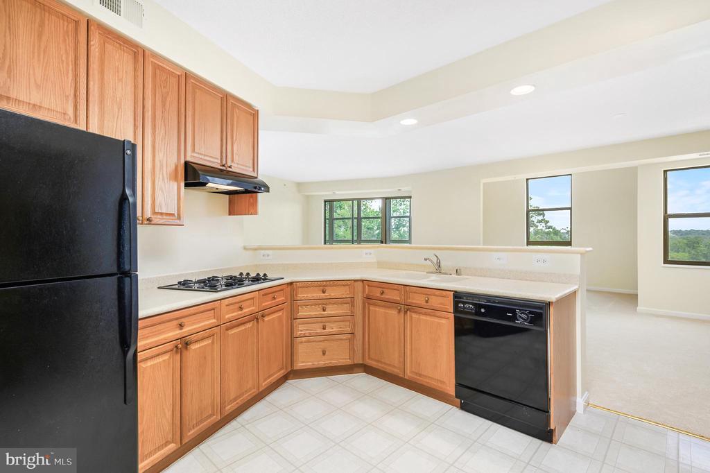 19350 Magnolia Grove Sq #411