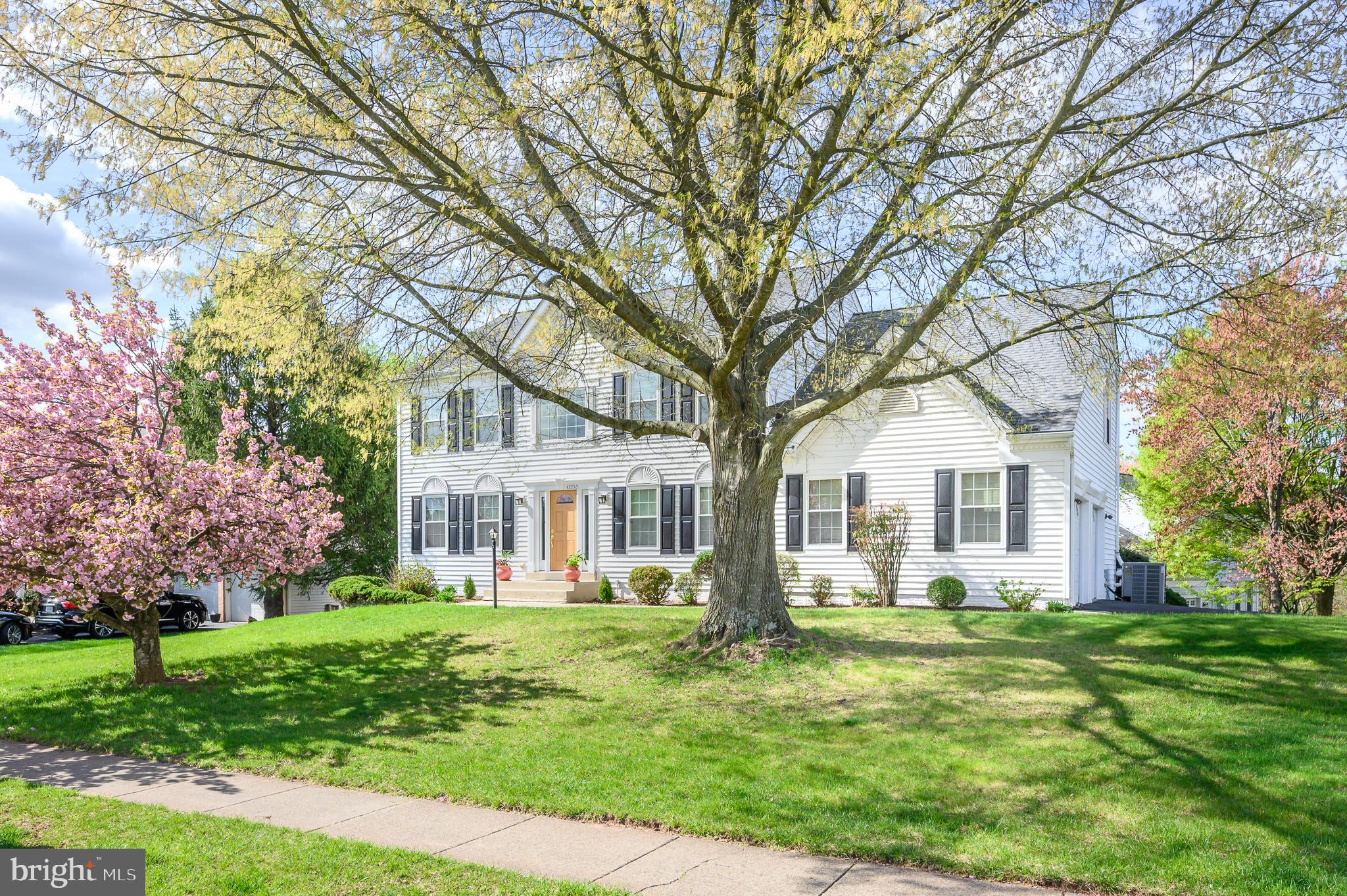 43356 Wayside Cir
