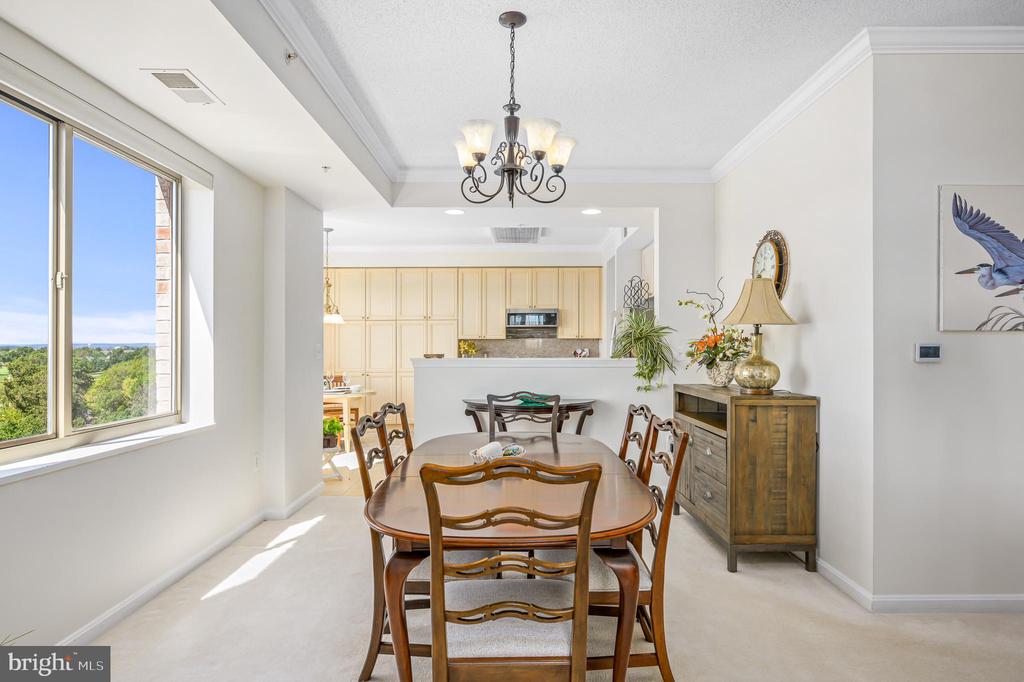 19355 CYPRESS RIDGE TER #1106