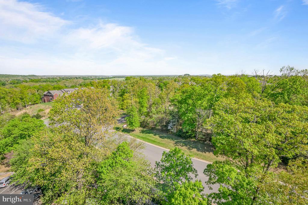 19385 Cypress Ridge Ter #906