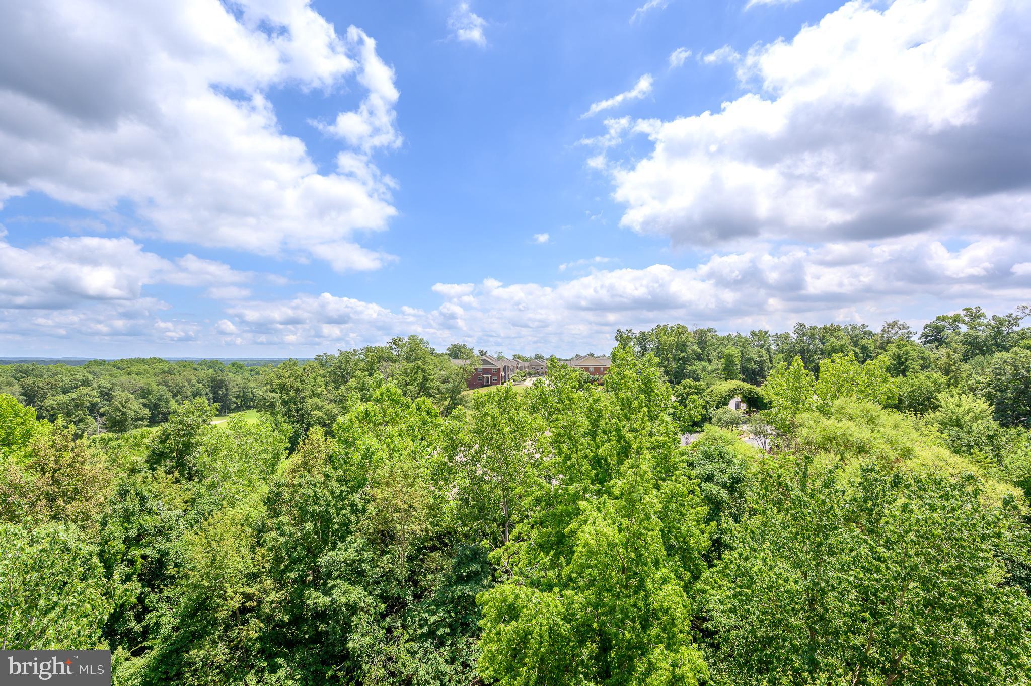 19370 Magnolia Grove Sq #410