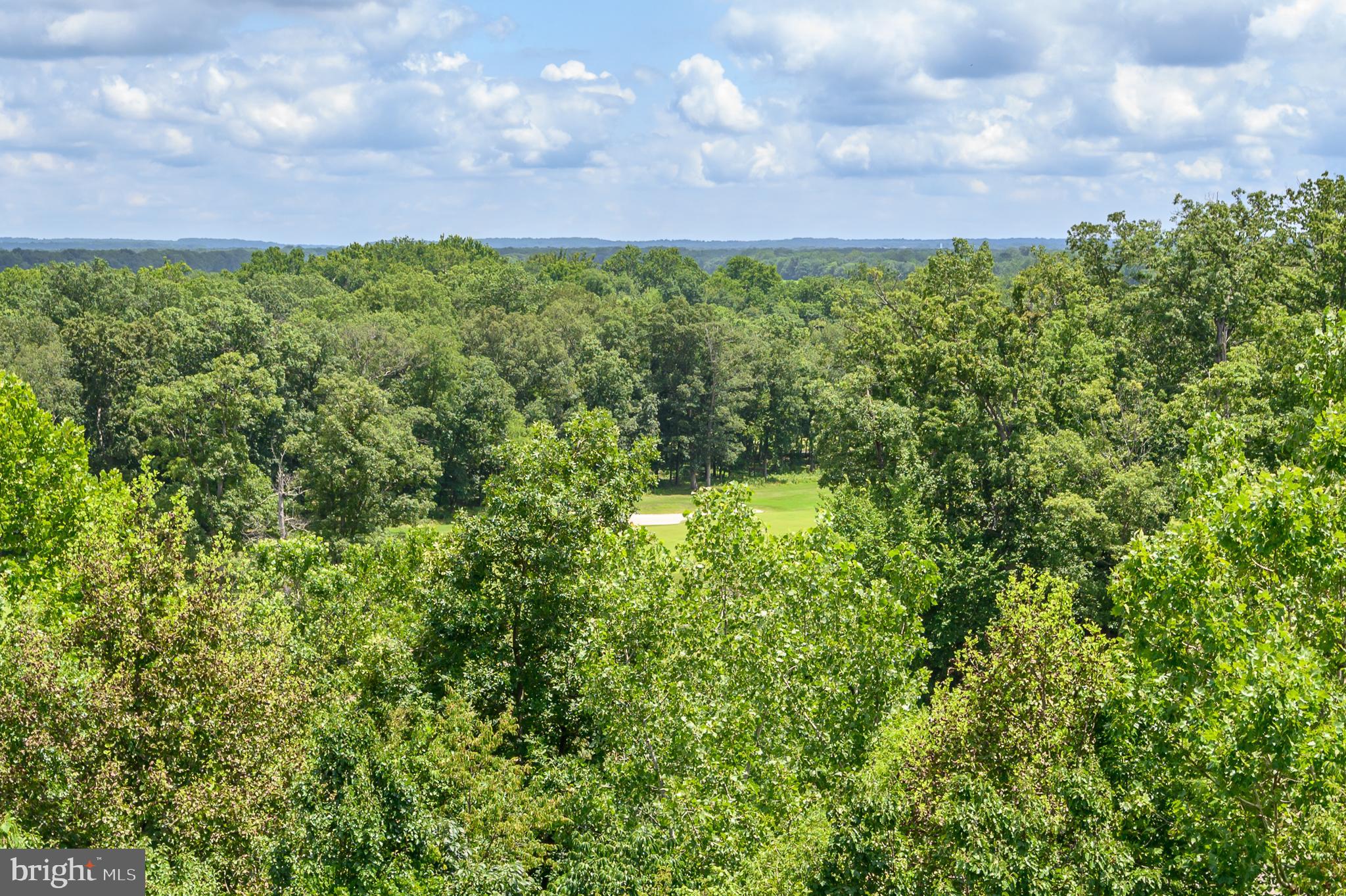 19370 Magnolia Grove Sq #410