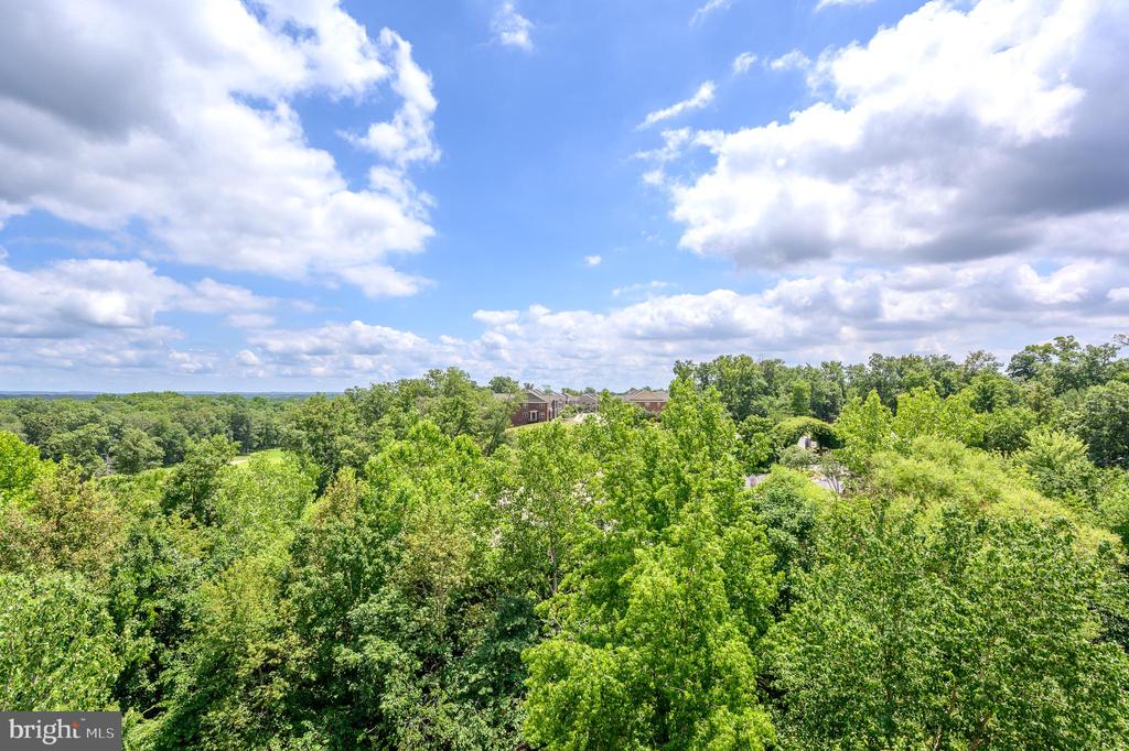 19370 Magnolia Grove Sq #410