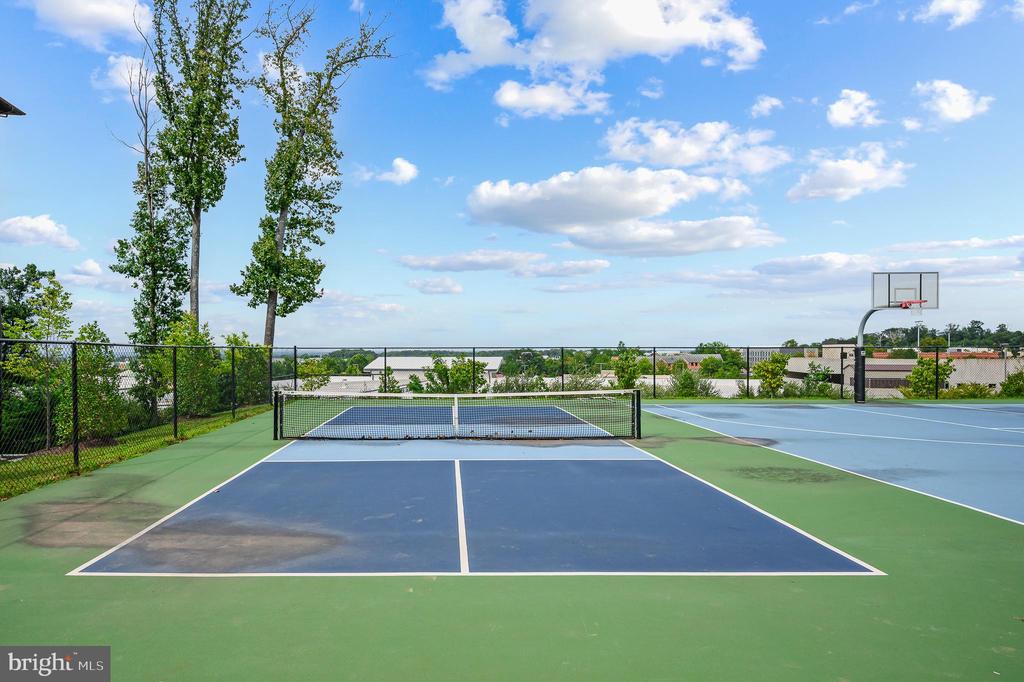 46294 MOUNT MILSTEAD TERRACE 105