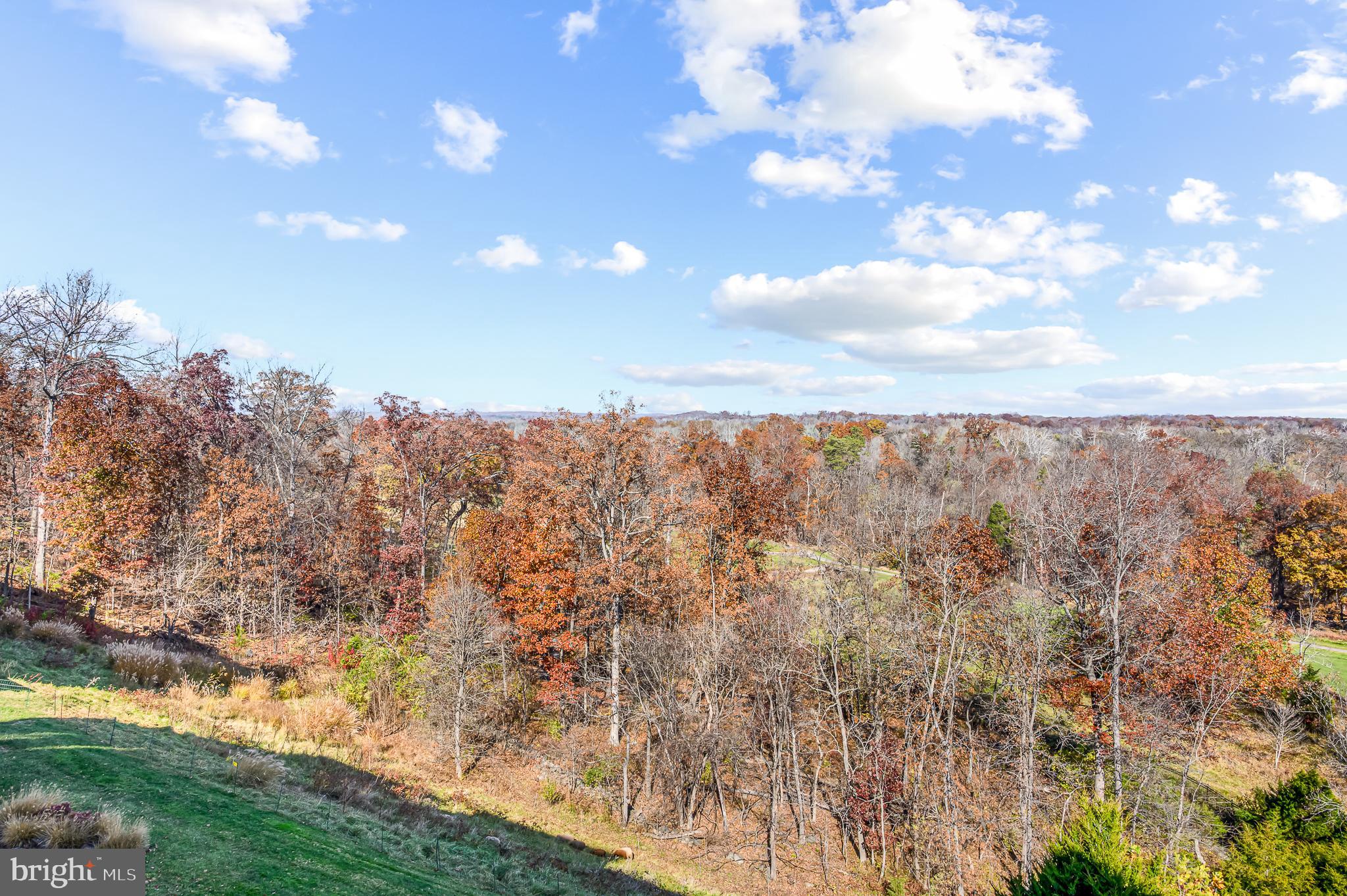 19360 MAGNOLIA GROVE SQUARE 316