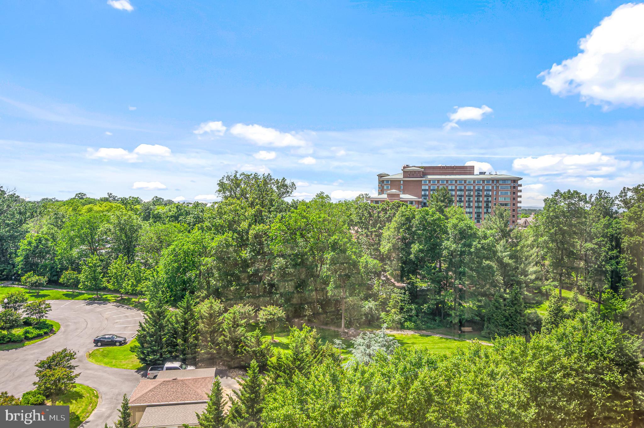 19355 CYPRESS RIDGE TERRACE 802