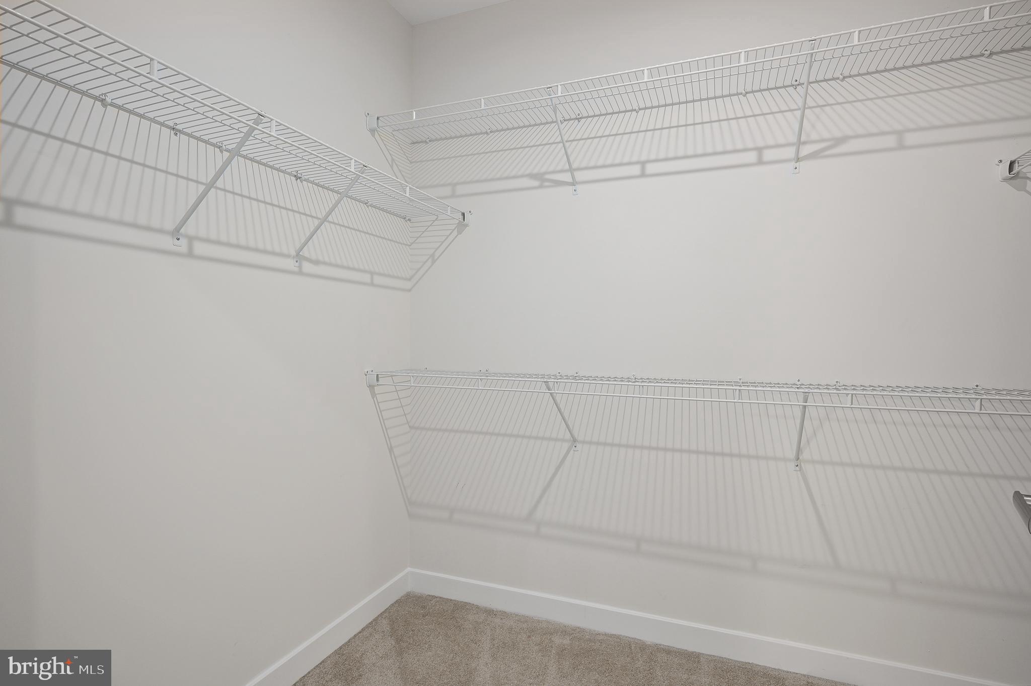 46294 MOUNT MILSTEAD TERRACE 303