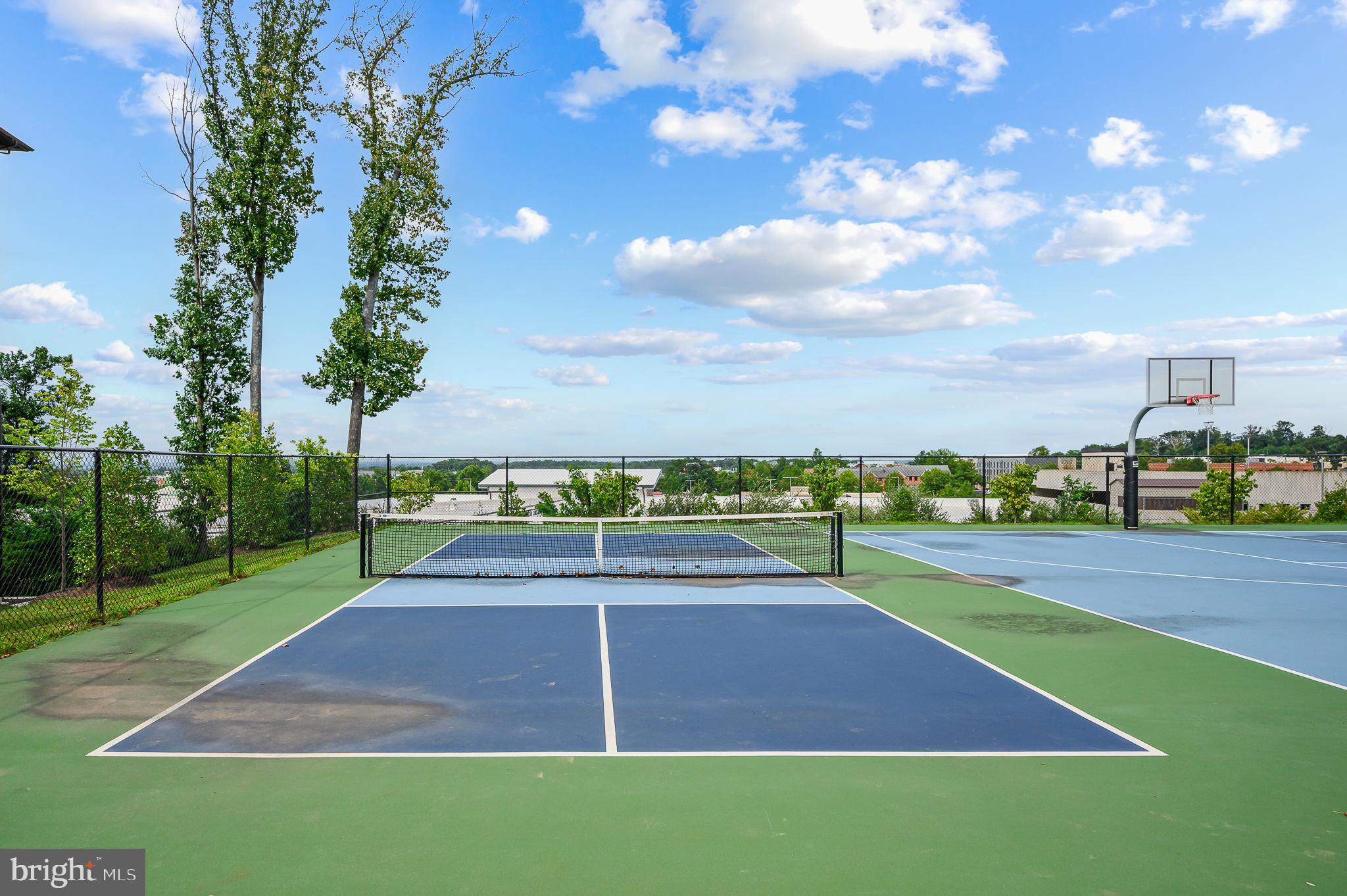 46294 MOUNT MILSTEAD TERRACE 303