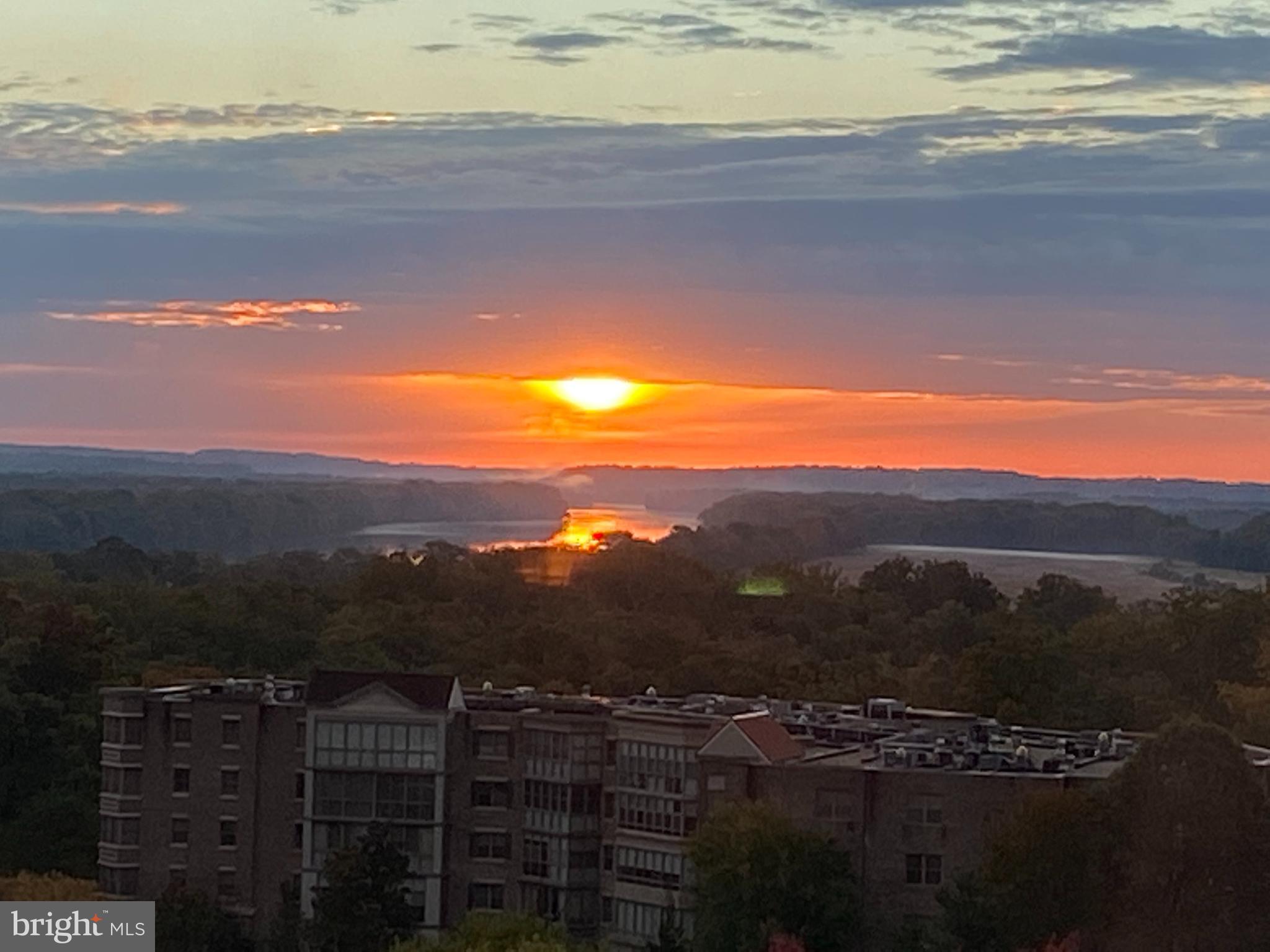 19365 CYPRESS RIDGE TERRACE 510