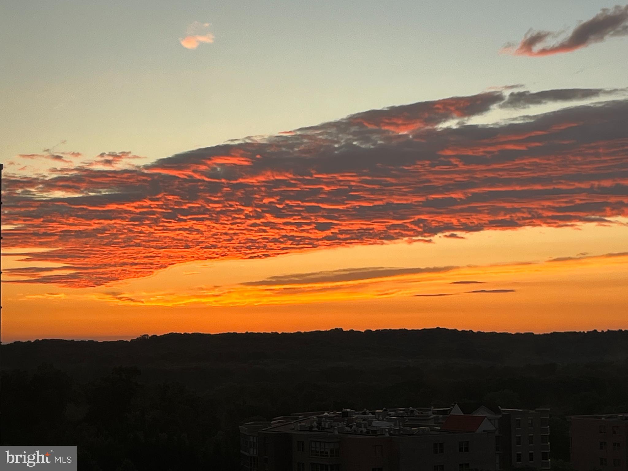 19365 CYPRESS RIDGE TERRACE 510