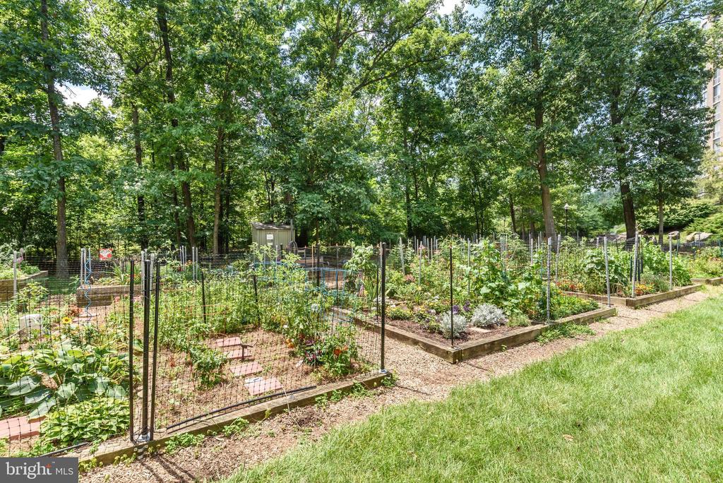 19385 CYPRESS RIDGE TERRACE 519
