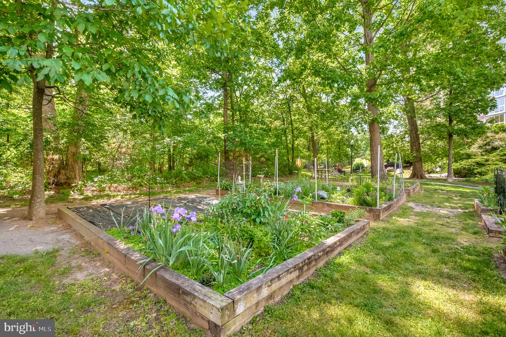 19355 CYPRESS RIDGE TERRACE Unit: 210