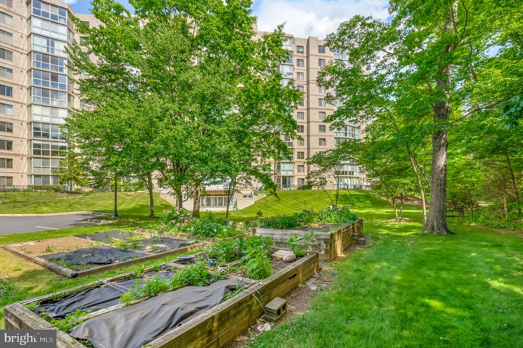 19355 CYPRESS RIDGE TERRACE Unit: 802
