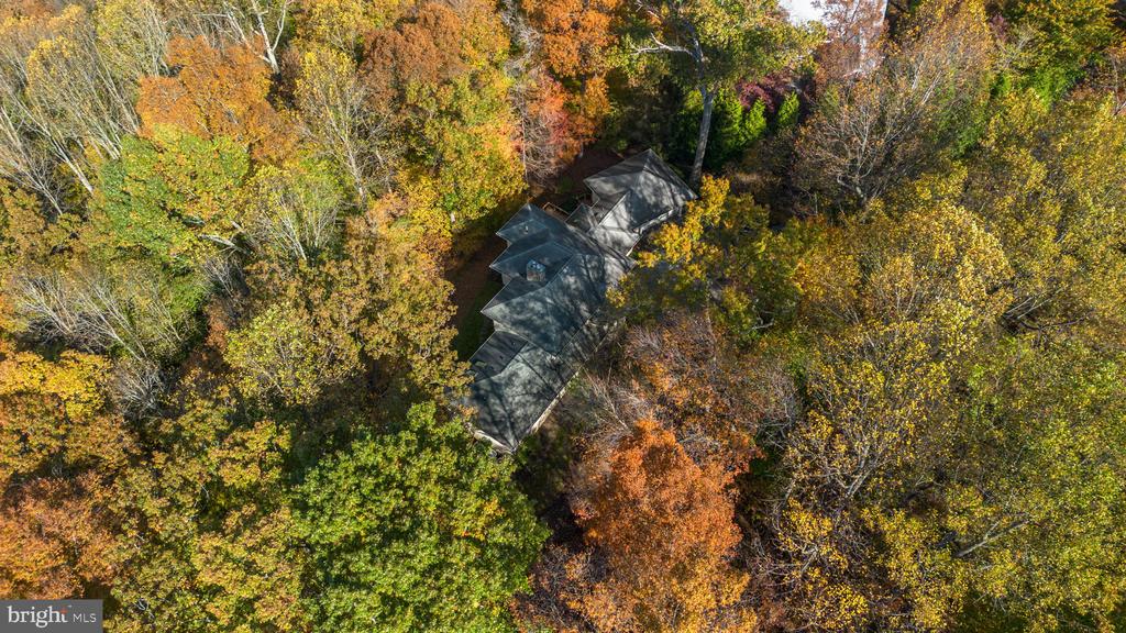 2331 RIDGE TREE COURT