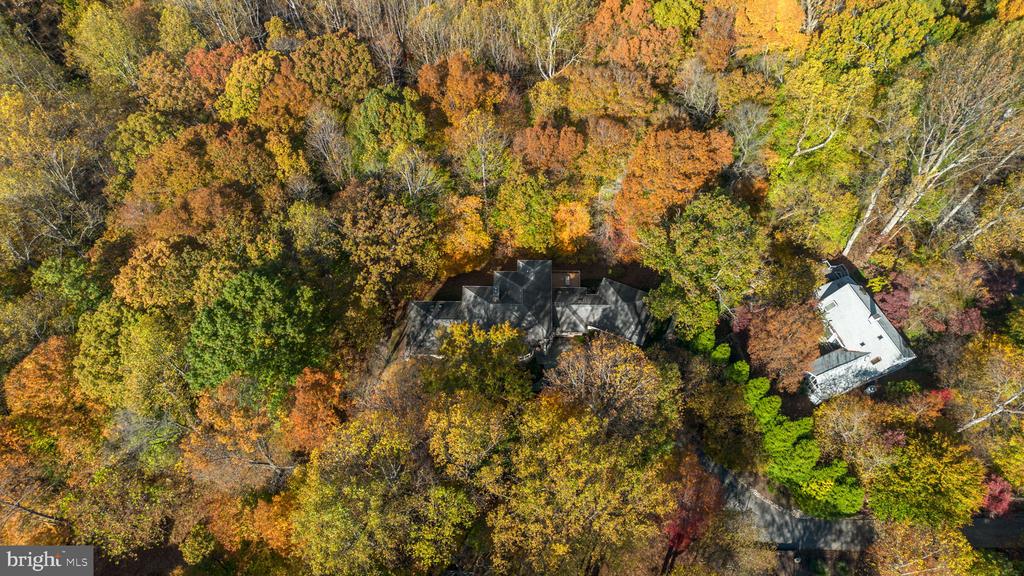 2331 RIDGE TREE COURT