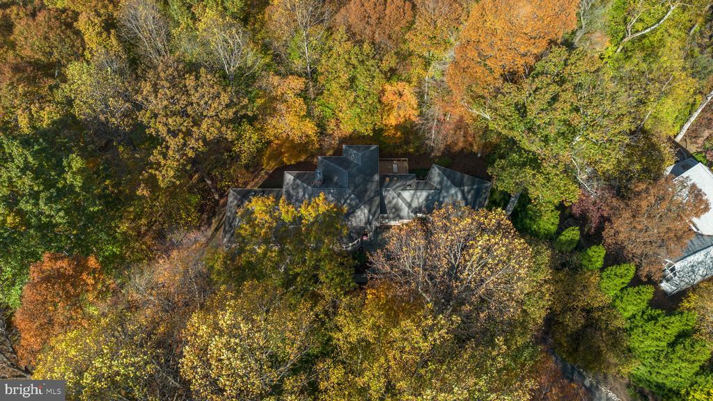 2331 RIDGE TREE COURT