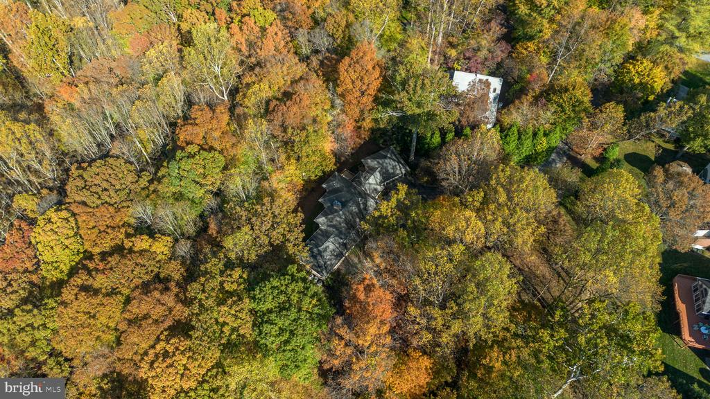 2331 RIDGE TREE COURT