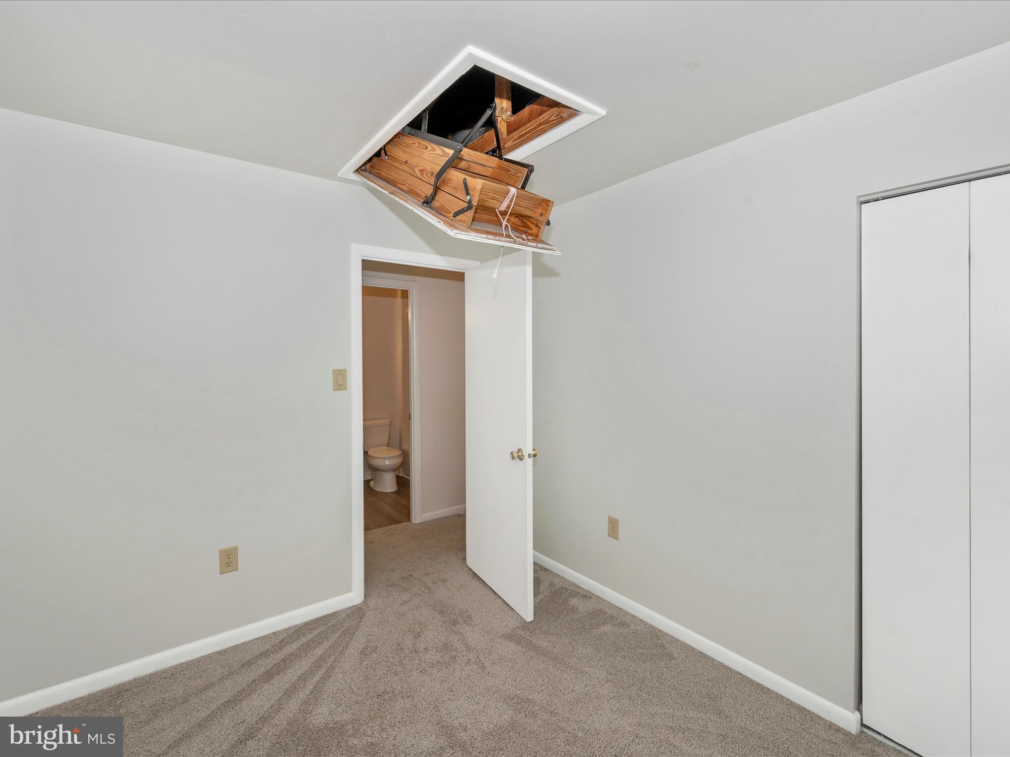 18744 CURRY POWDER LANE