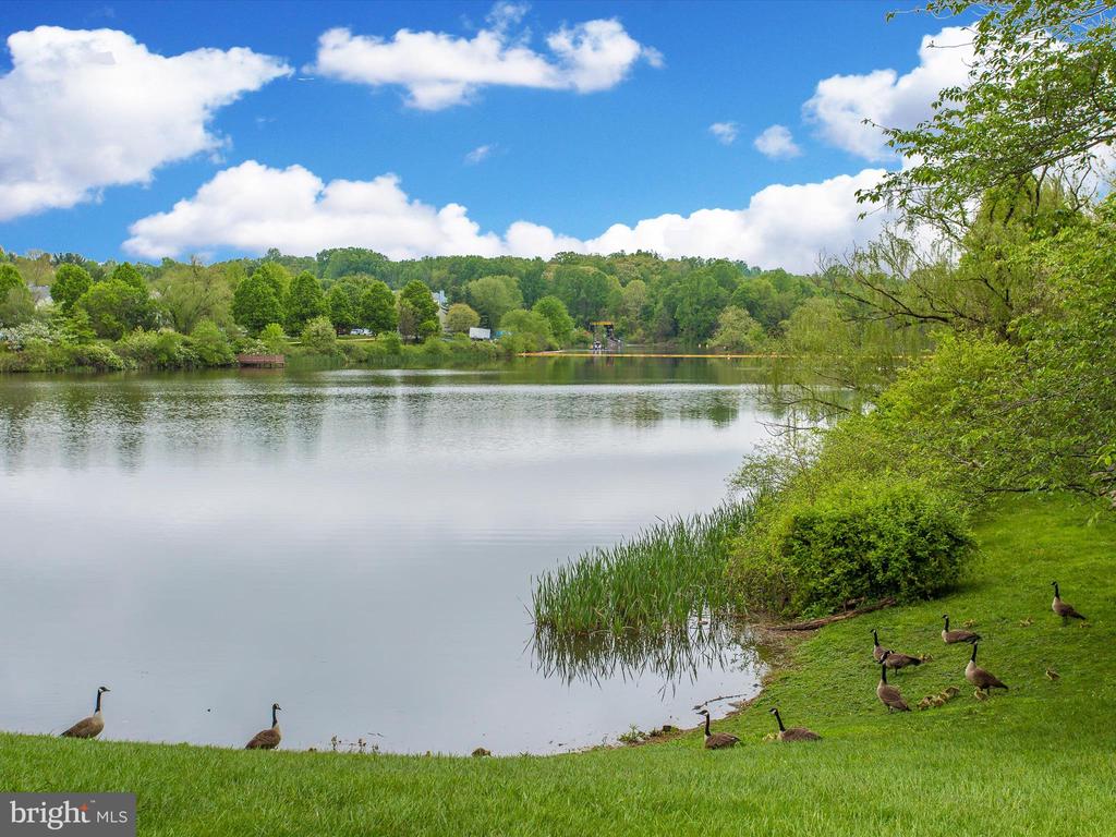 12403 WALNUT COVE CIRCLE