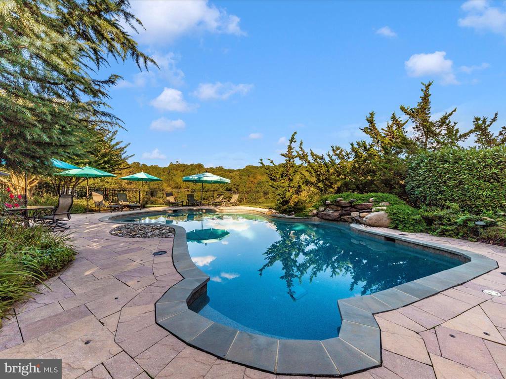 22321 ESSEX VIEW DRIVE