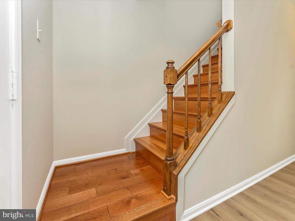 25 FILBERT COURT