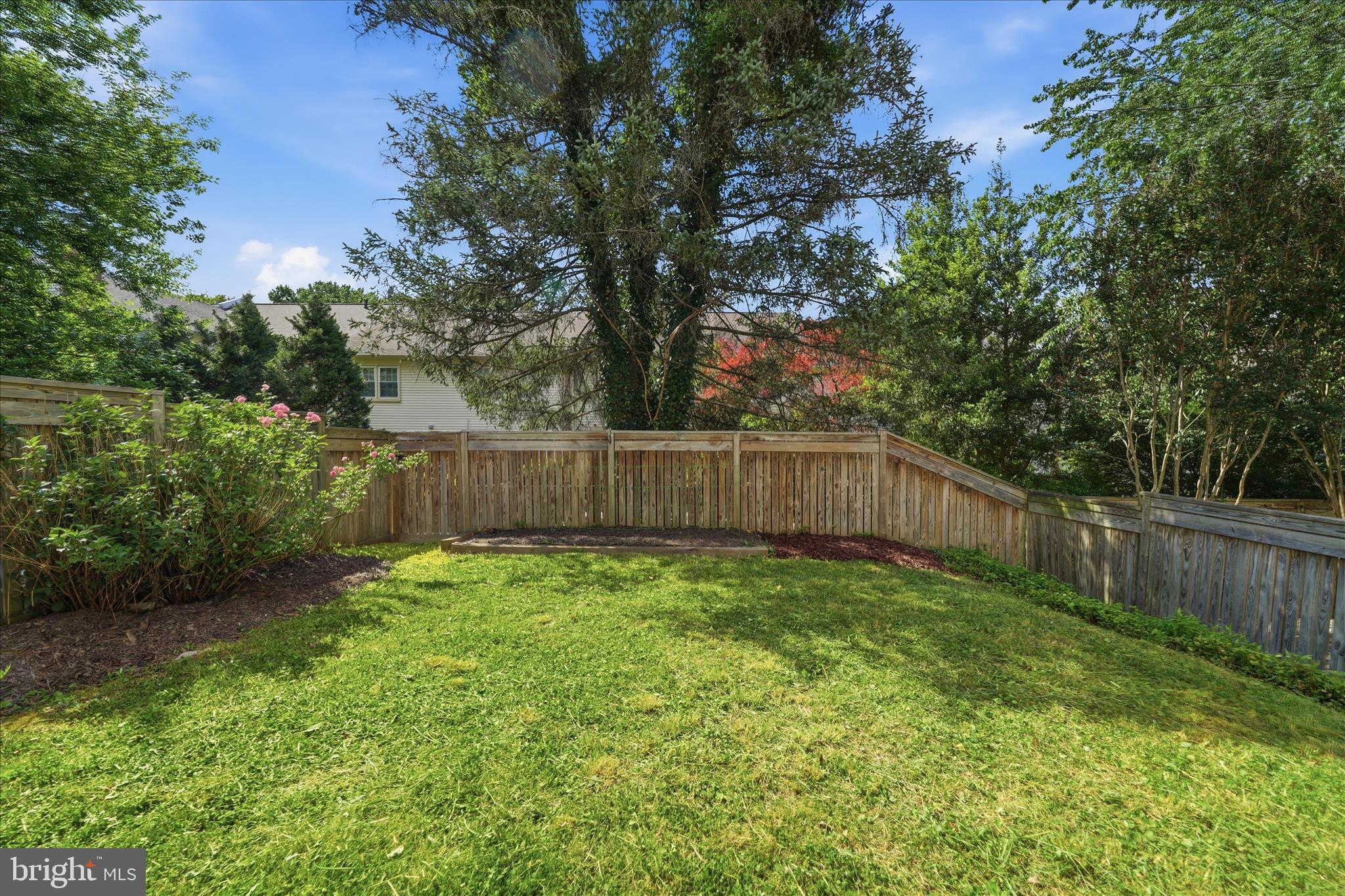 20126 WARINGWOOD