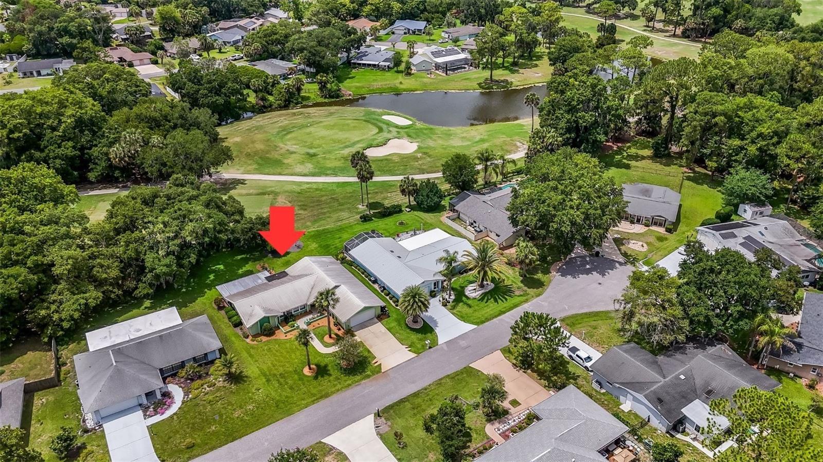 8 COURTNEY PL