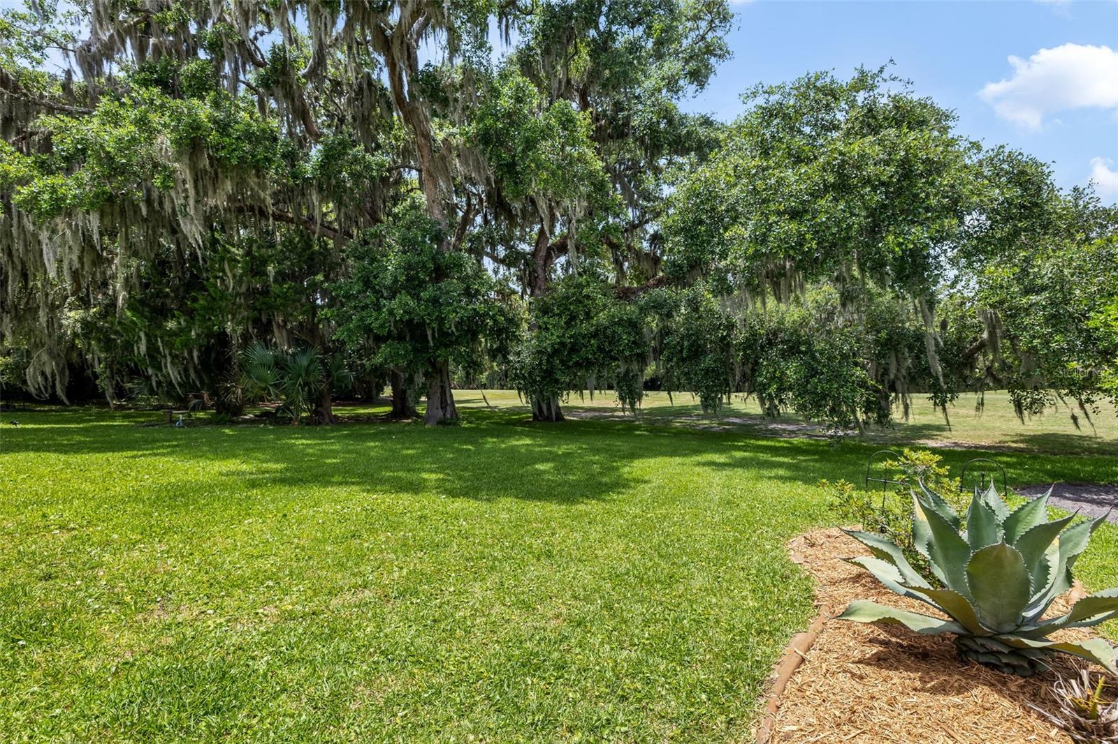8 COURTNEY PL