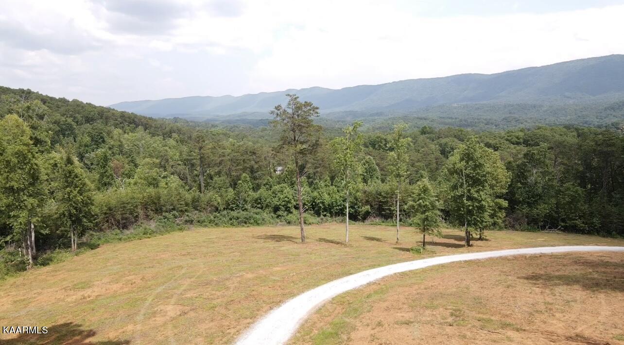 Lot 1 6 Mile Rd