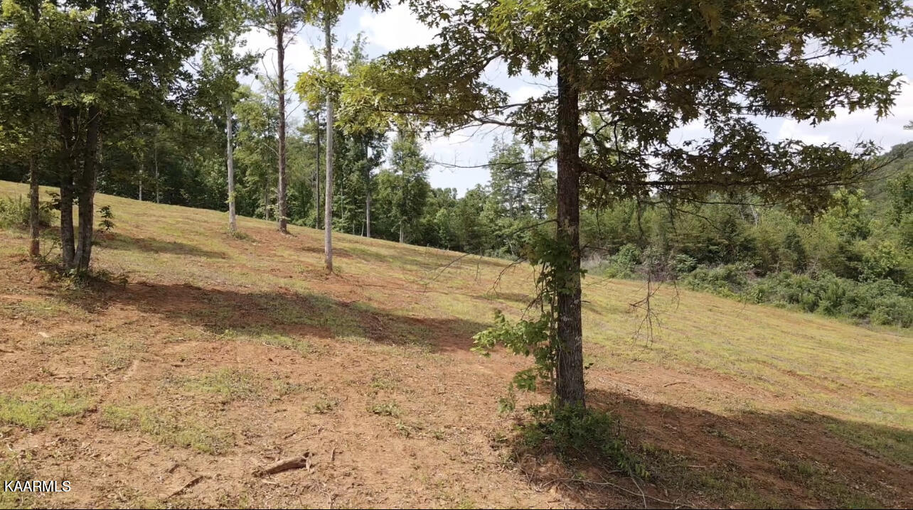 Lot 2 6 Mile Rd