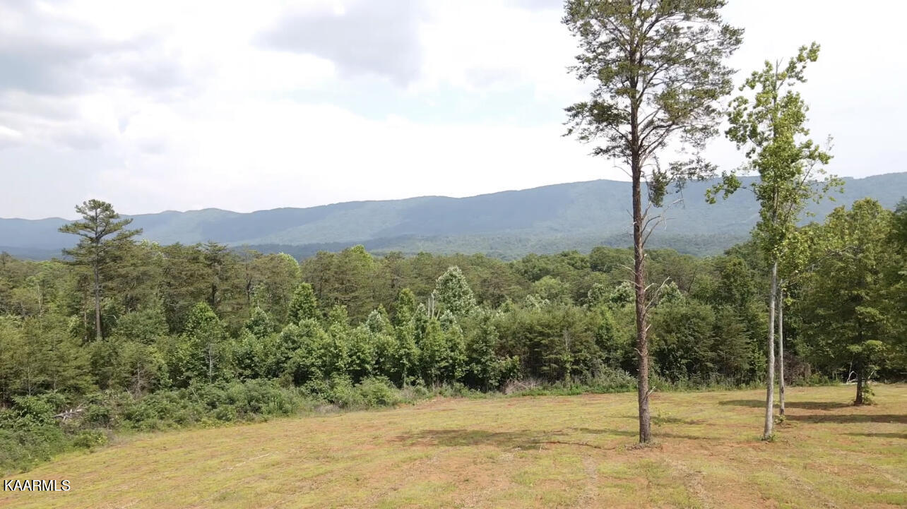 Lot 3 6 Mile Rd