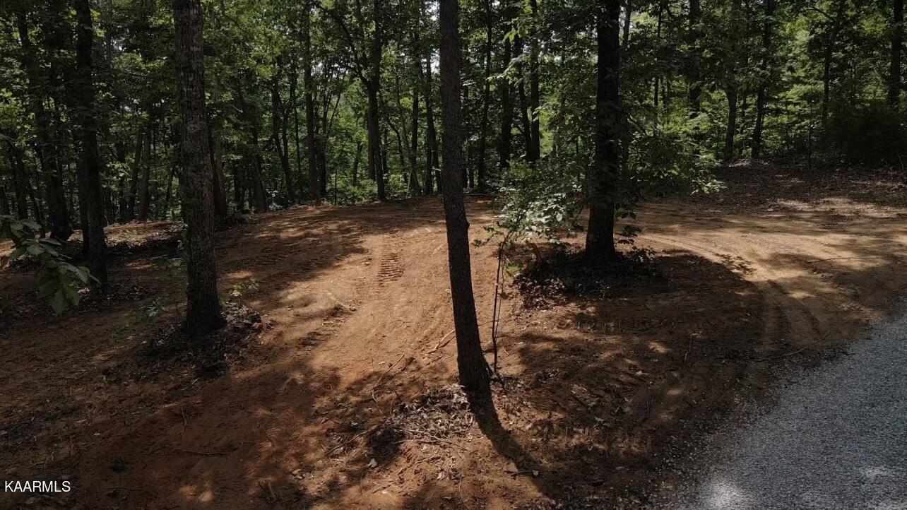 Lot 4 6 Mile Rd